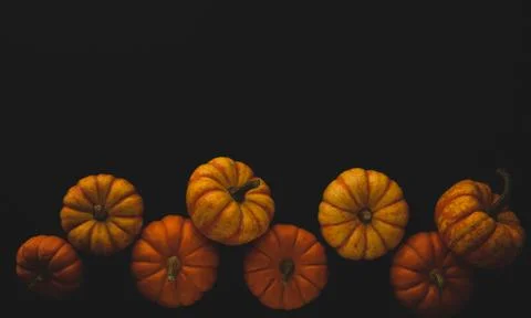 Pumpkin macro close up selective focus Stock Photos