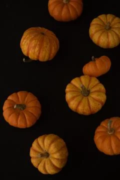 Pumpkin macro close up selective focus Stock Photos