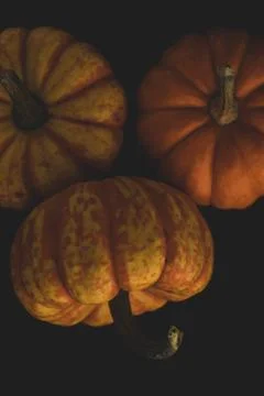 Pumpkin macro close up selective focus Stock Photos