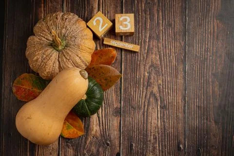 Pumpkin, maple leaf and calendar placed on wooden floor, hello September co.. Stock Photos
