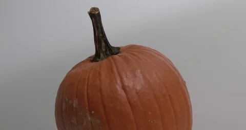 Pumpkin - Medium Shot - Rotating against White Background Stock Footage 97808473