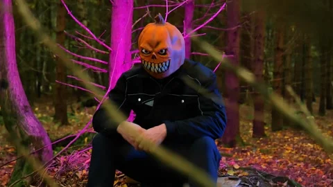 Pumpkin monster character sitting on forest alley.halloween  wallpaper Stock Footage 312635687
