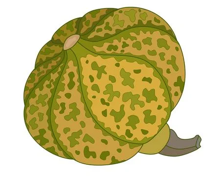 Pumpkin motley spotted - vector full color picture. The pumpkin fruit 스톡 일러스트