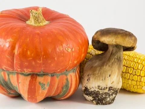 Pumpkin, mushroom, corn on white background Foto stock