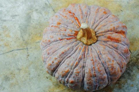 Pumpkin on the old floor. Stock Photos