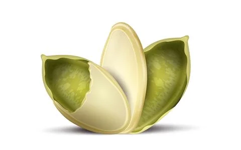 Pumpkin or melon seed on white background Stock Illustration