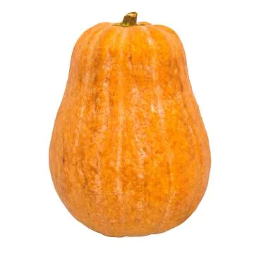 Pumpkin or squash close-up 3d rendering with realistic texture Stock Illustration