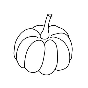 Pumpkin or squash in doodle style. Stock Illustration