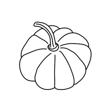 Pumpkin or squash in doodle style. Stock Illustration