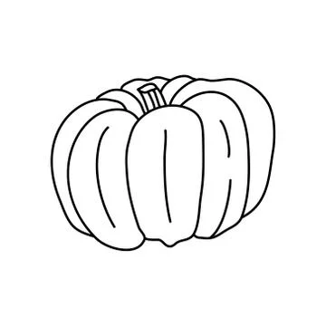 Pumpkin or squash in doodle style. Stock Illustration