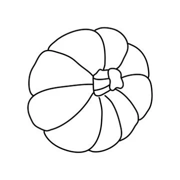 Pumpkin or squash in doodle style. 스톡 일러스트