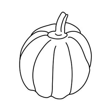 Pumpkin or squash in doodle style. Stock Illustration