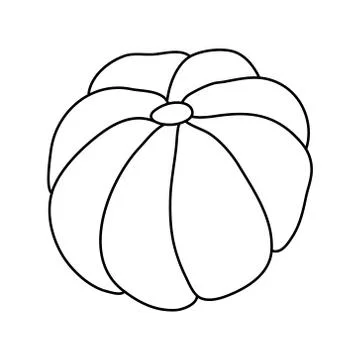 Pumpkin or squash in doodle style. Stock Illustration