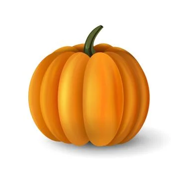 Pumpkin over white background Stock Illustration