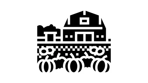 Pumpkin patch autumn glyph icon animation Stock Footage 326147770