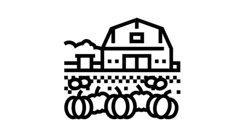 Pumpkin patch autumn line icon animation Vídeos de archivo 326127648