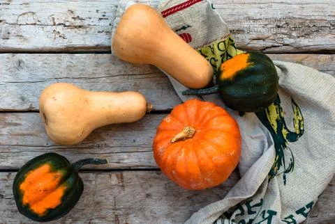 Pumpkin patch. Autumn still life Stock Photos