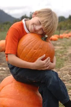 Pumpkin patch boy Stock-Fotos