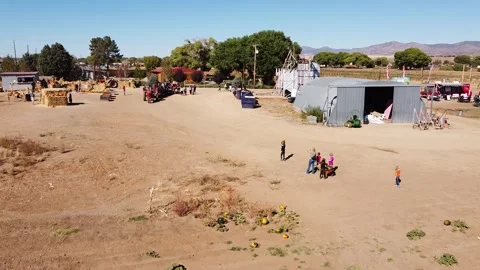 Pumpkin Patch of Fall Season in Dewey Arizona Video stock 254930773