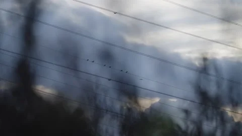 Pumpkin Patch Stock-Footage 316074439