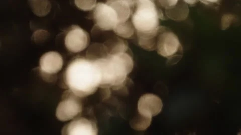 Pumpkin Patch Stock-Footage 316075628