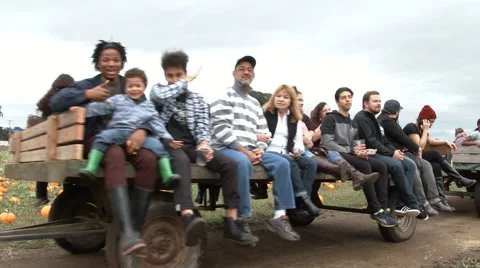 Pumpkin Patch Hay Ride Stock Footage 68407570