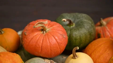 Pumpkin patch, multi size, colorful pumpkins, slider shot. 4K UHD 3840x2160 Video stock 141498527