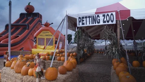 Pumpkin Patch Petting Zoo Sign 2 Day Stock Footage 103184725
