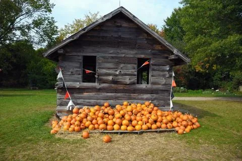 Pumpkin Patch Stock Photos