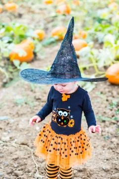 Pumpkin patch Fotos de archivo