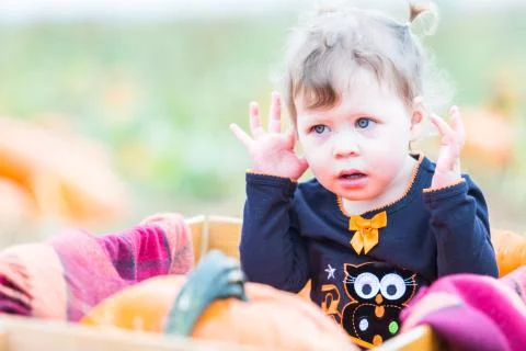 Pumpkin patch Foto stock