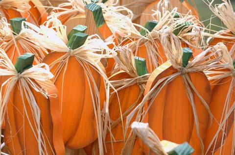 Pumpkin Patch Stock Photos