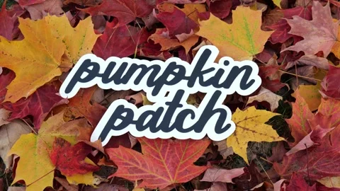 Pumpkin Patch in a pile of colorful fall leaves with red, orange, and yellow Stock Footage 322102607