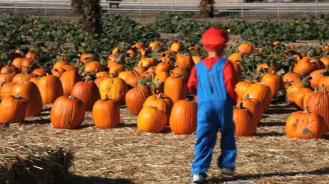 Pumpkin Patch (running boy) Stock Footage 909227