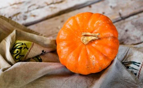 Pumpkin patch. A rustic autumn still life of pumpkin on a wooden table Stock-Fotos