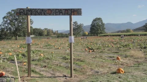 Pumpkin Patch Sign at Farm - Halloween Stock Footage 42878993
