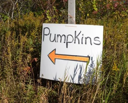 Pumpkin Patch Sign with Orange Arrow Stock Photos