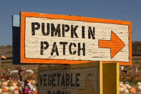 Pumpkin patch sign Foto stock