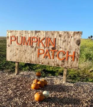 Pumpkin Patch Sign Pumpkin Picking Stock Photos
