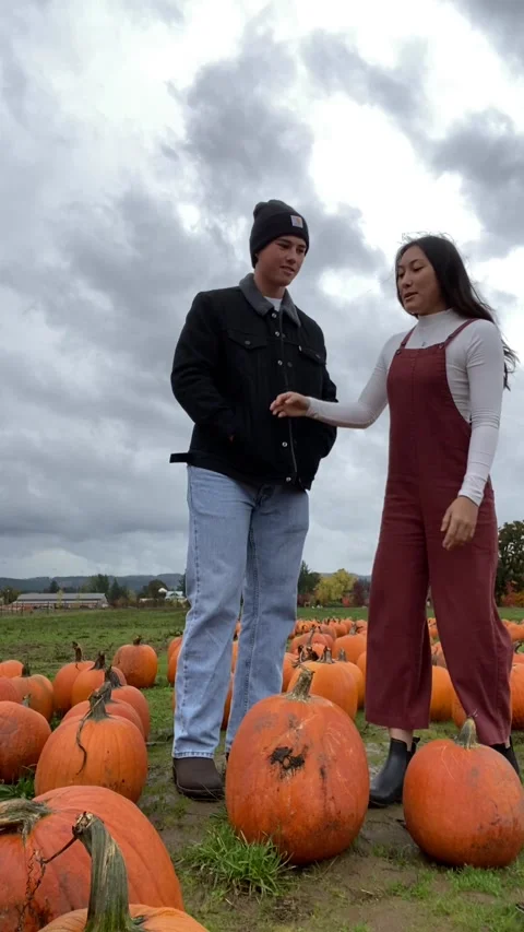 Pumpkin Patch Swing Dance Slip, Forest Grove, Oregon, USA - 24 Oct 2021 Video stock 205395849