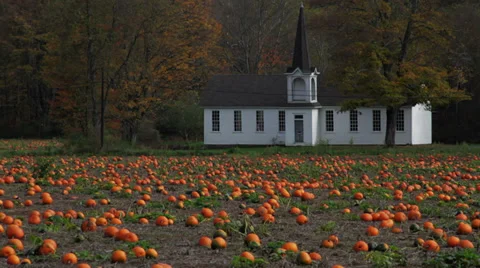 Pumpkin Patch tilt to church Stock Footage 32015109