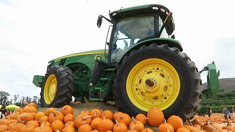 Pumpkin patch. Tractor parked on small hill covered in pumpkins, Stockbeeldmateriaal 108132530