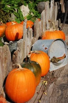 Pumpkin patio Stock Photos