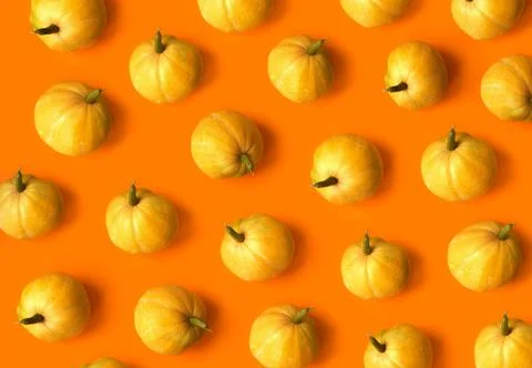 Pumpkin pattern. Flat lay, top view. Halloween, thanksgiving day, autumn concept Stock Photos