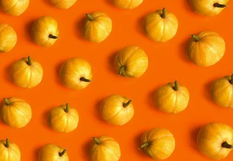 Pumpkin pattern. Flat lay, top view. Halloween, thanksgiving day, autumn concept Stock Photos
