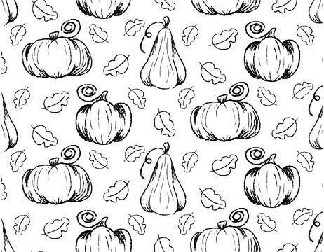 Pumpkin pattern, line drawn with a brush, doodle illustration Stock Illustration