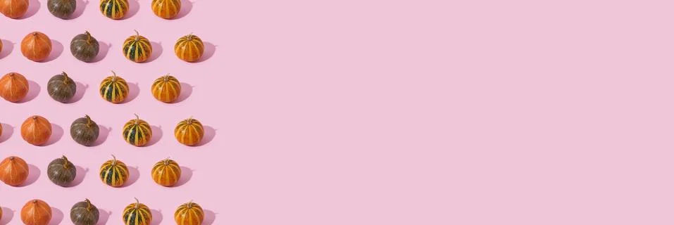 Pumpkin pattern on pink background with sunlight shadow, Halloween, thanksgiving Stock Photos