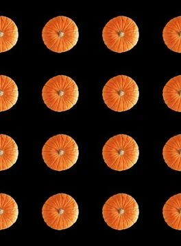 Pumpkin pattern. Pumpkins on black background, top view. Autumn, fall, hall.. Stock Photos