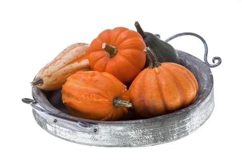 Pumpkin Stock-Fotos