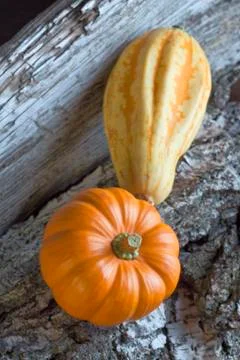 Pumpkin Stock Photos